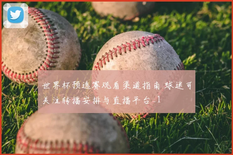 世界杯预选赛观看渠道指南 球迷可关注转播安排与直播平台_1