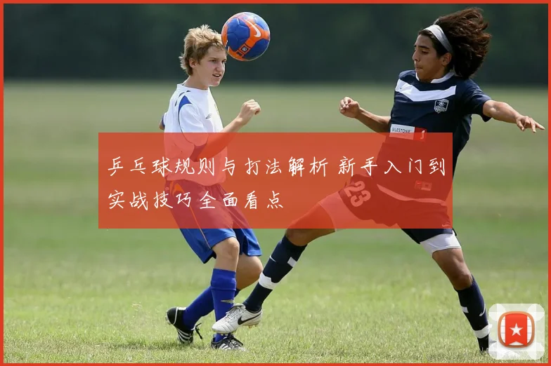 乒乓球规则与打法解析 新手入门到实战技巧全面看点
