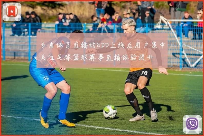 专看体育直播的app上线后用户集中关注足球篮球赛事直播体验提升