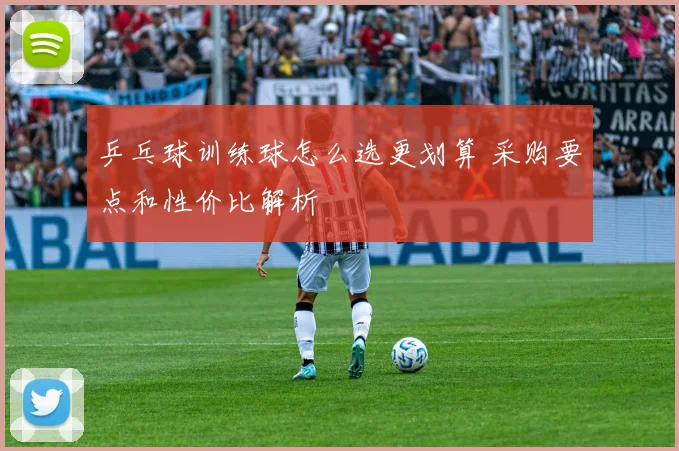 乒乓球训练球怎么选更划算 采购要点和性价比解析
