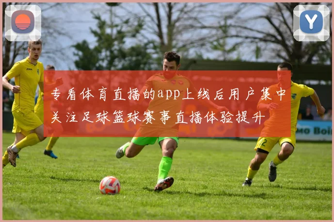 专看体育直播的app上线后用户集中关注足球篮球赛事直播体验提升